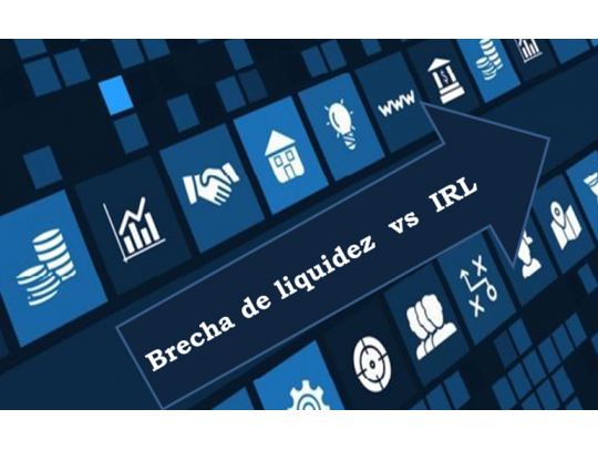 IRL versus brecha de liquidez - Ricardo Durán Director Ciclo Solidario gestion de liquidez en el sector solidario