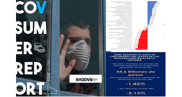 Camilo Herrera presidente de Raddar gasto de los hogares abril 